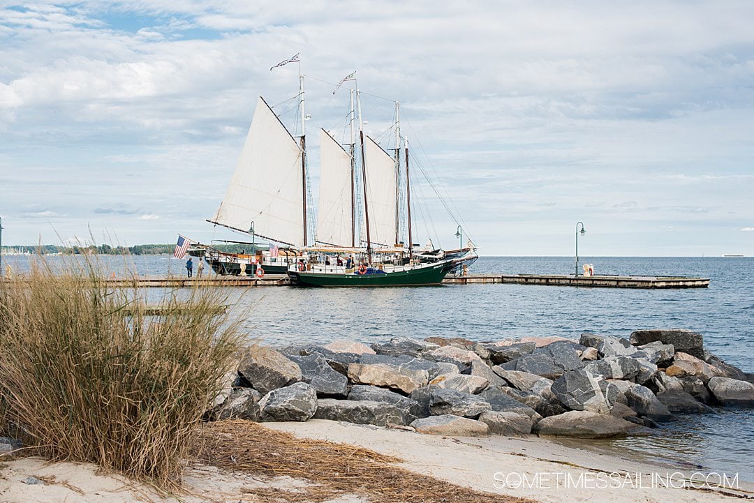 sailboat cruise yorktown va