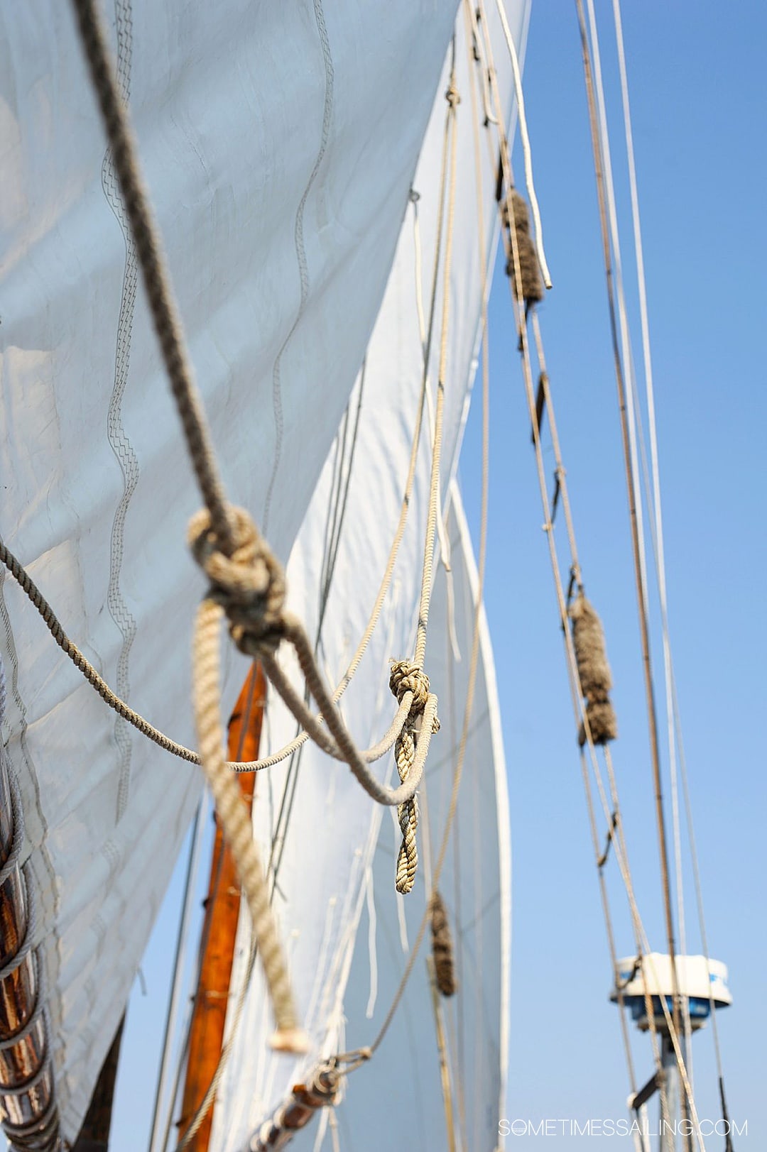 Cruise ship terms you need to know. Sails and lines on a sailboat.