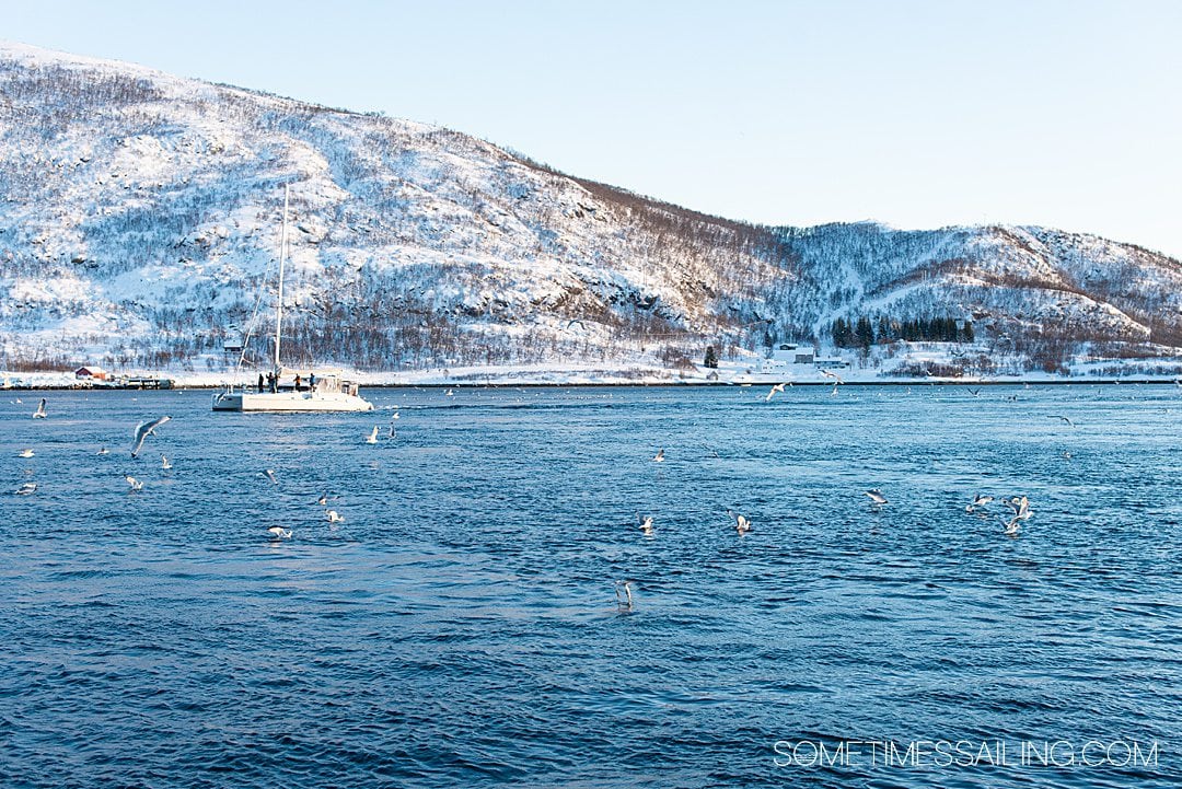 A view of the water with snowy mountains in the background aboard a Tromso boat tour in Norway.