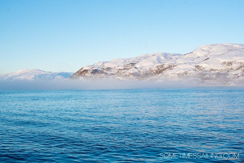 Tromso Boat Tour in Northern Norway: Polar Fjord Cruise Excursion