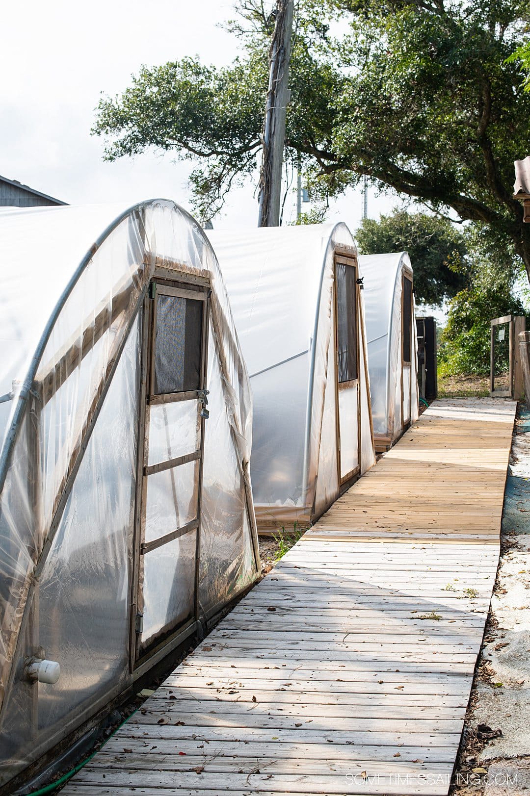 Hoop greenhouses at Hatteras Saltworks in North Carolina