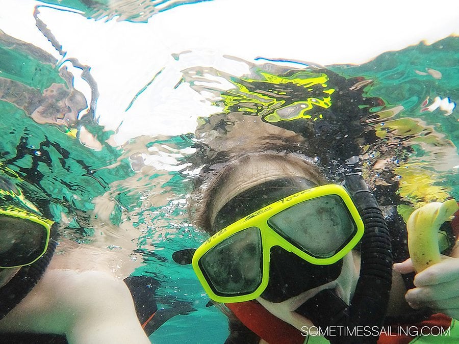 Person with a yellow and black snorkel mask on.