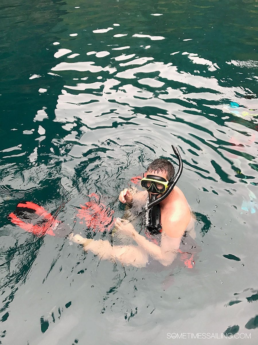 Man in the water with a snorkel mask and fins on.