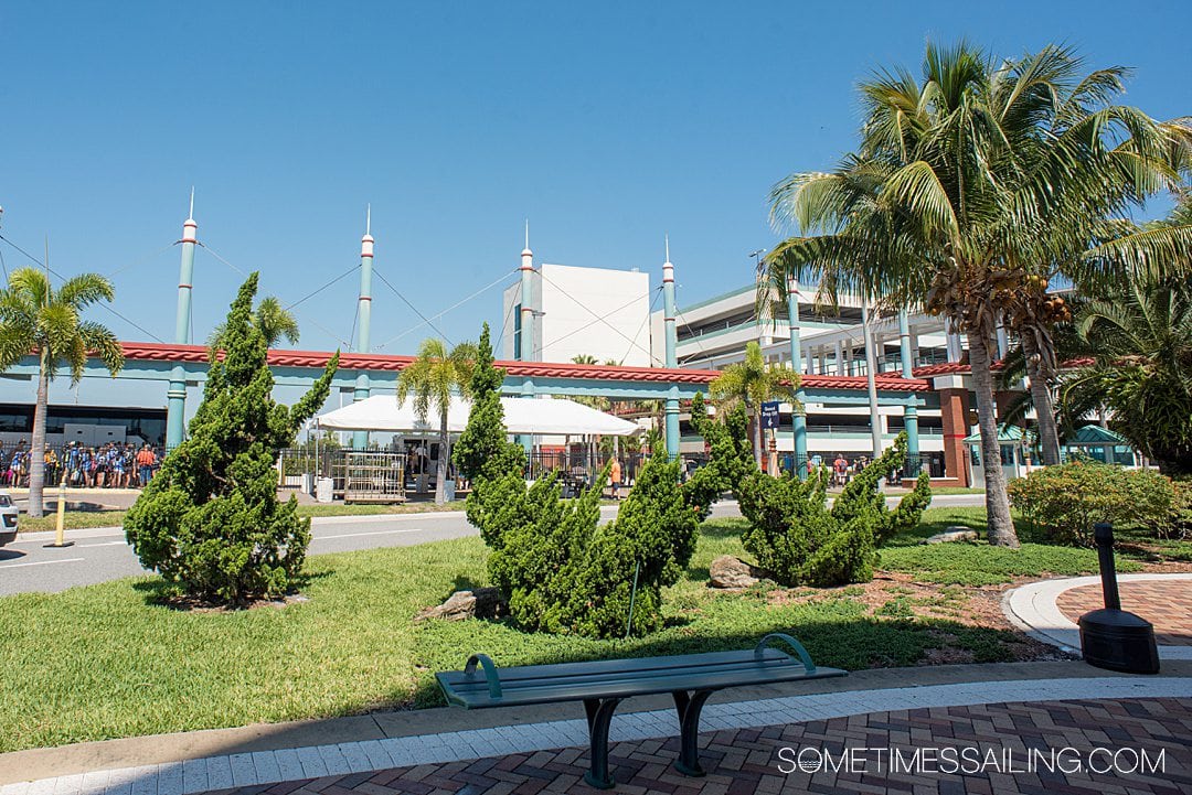 Photo of plants in front of the parking in the distance for Port Canaveral U.S. Cruise Port terminal.