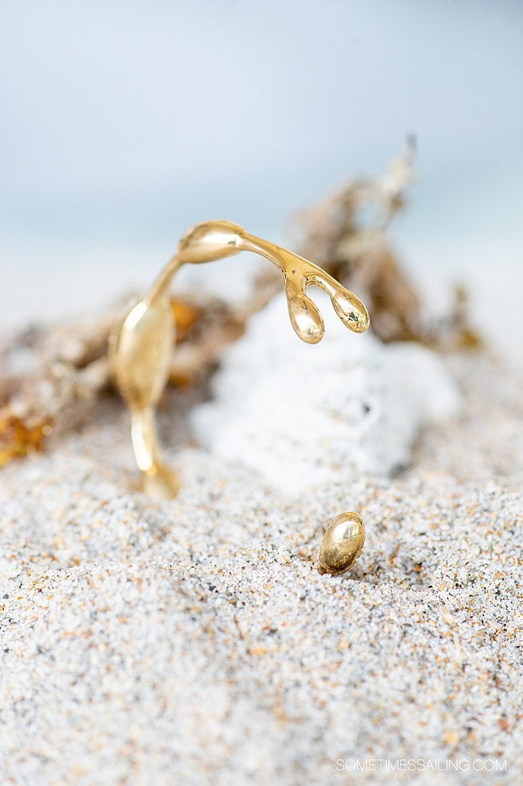 Brass seaweed inspired bracelet by Wildwood Oyster Co. on a piece of coral and sand.