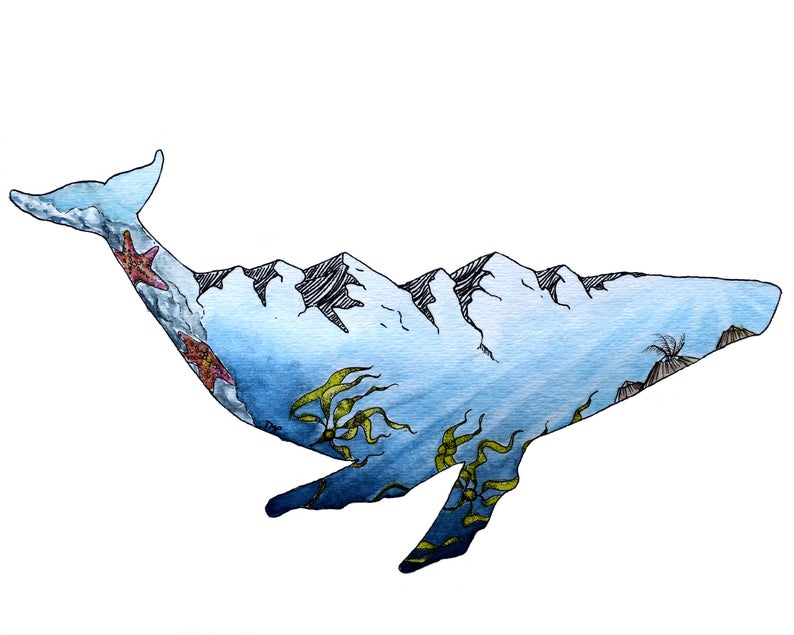 Whale watercolor from TPSketches on Etsy, for inspired ocean art.