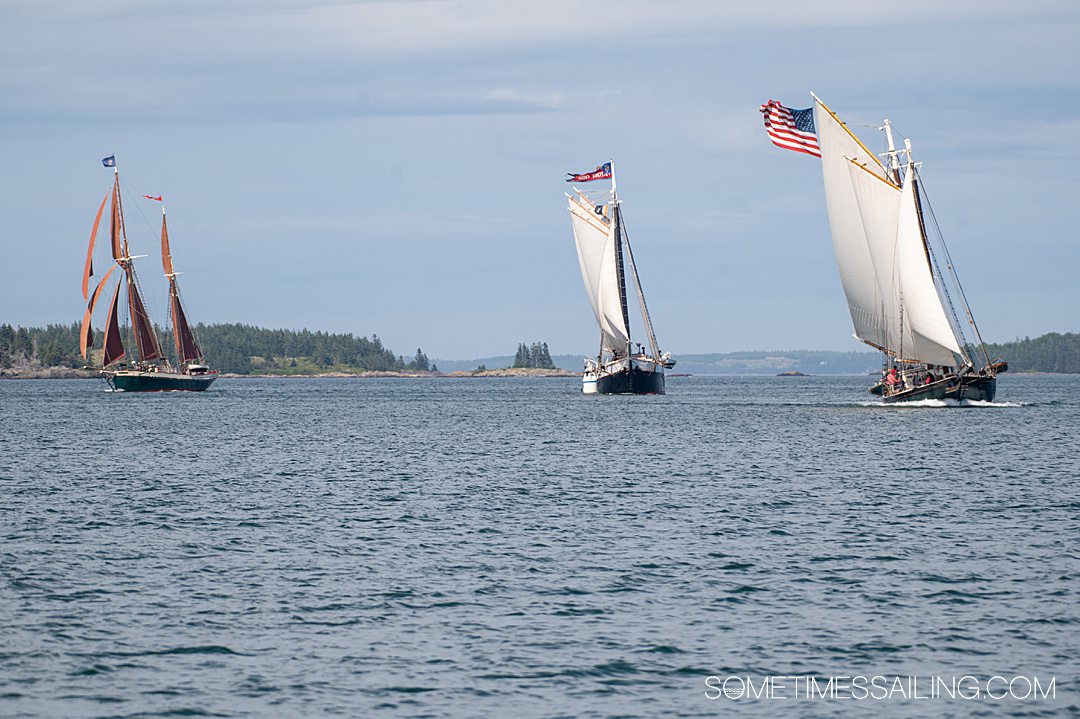 Three schooners sailing on Maine's coast, part of Maine Windjammer cruises.