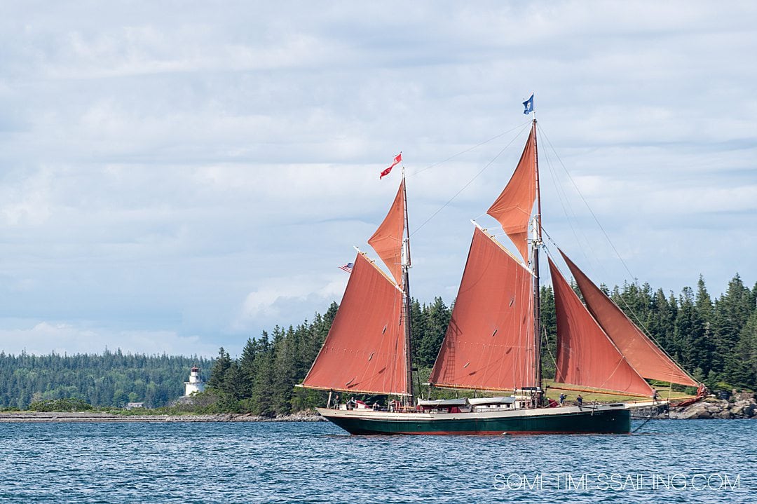The Angelique ship with red sails, sailing Maine's coast, part of Maine Windjammer cruises.