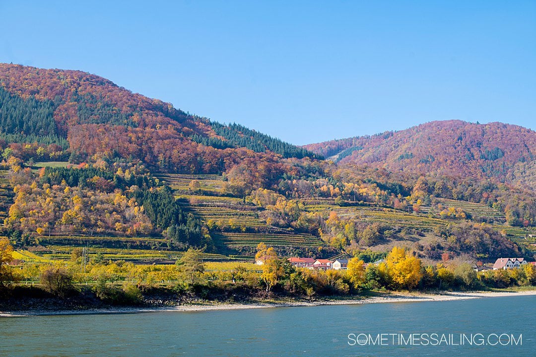 Colorful fall foliage along the rolling hills and vineyards of the Wachau Valley along the Danube River in Europe.