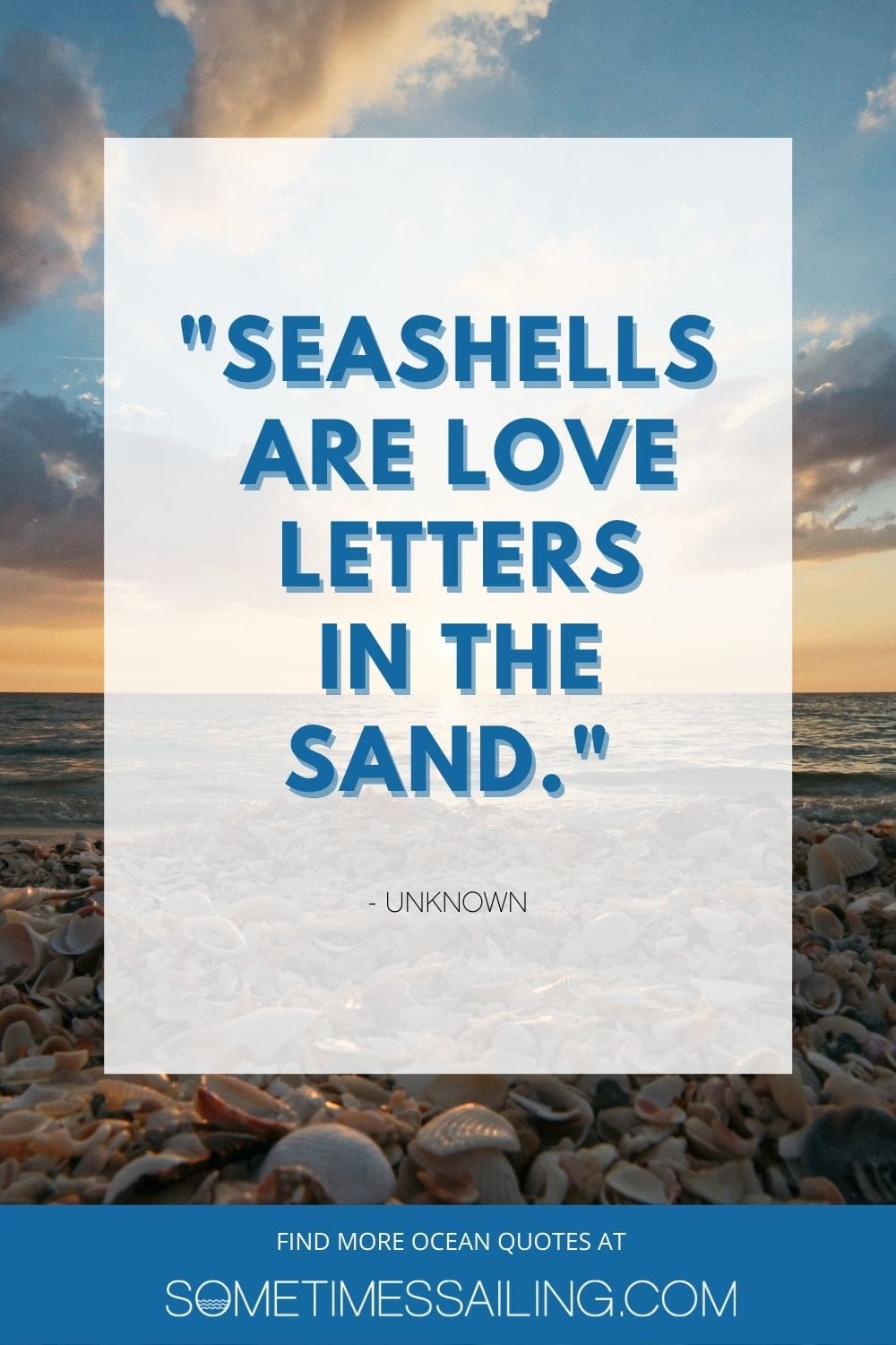 Inspirational ocean seashell quote with a photo of the beach and seashells behind it on the shore.