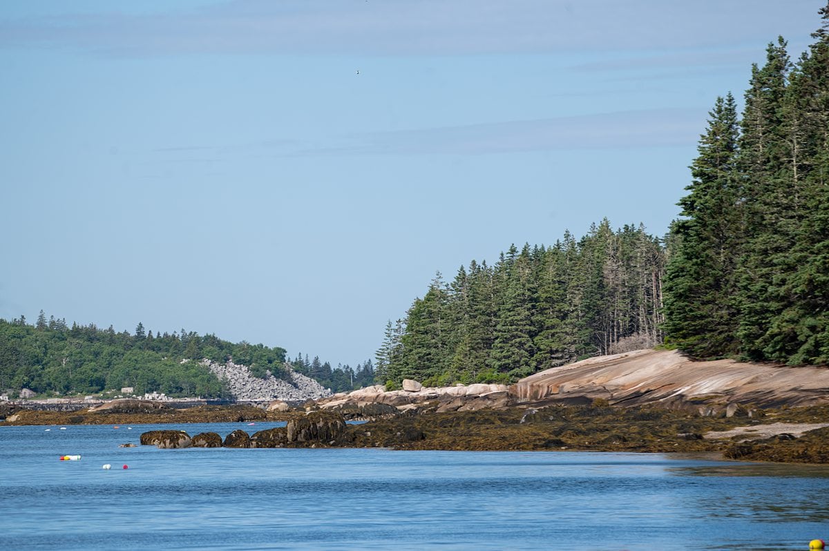 Coastal Maine scene with evergreen trees, a blue sky and blue water for ways to be a more eco-conscious cruiser.
