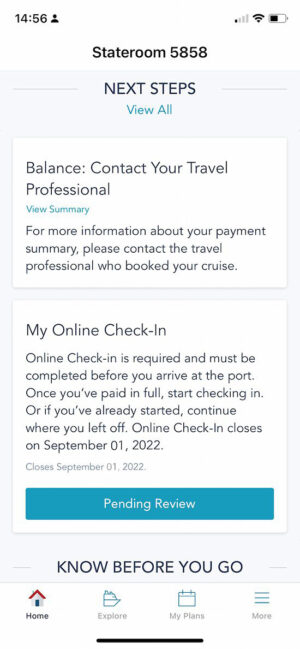 Disney Cruise Line Check-in Process Online: Everything to Know