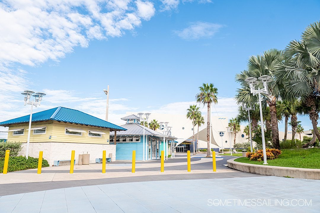 Port Canaveral cruise terminal in Florida, with a blue sky and palm trees.
