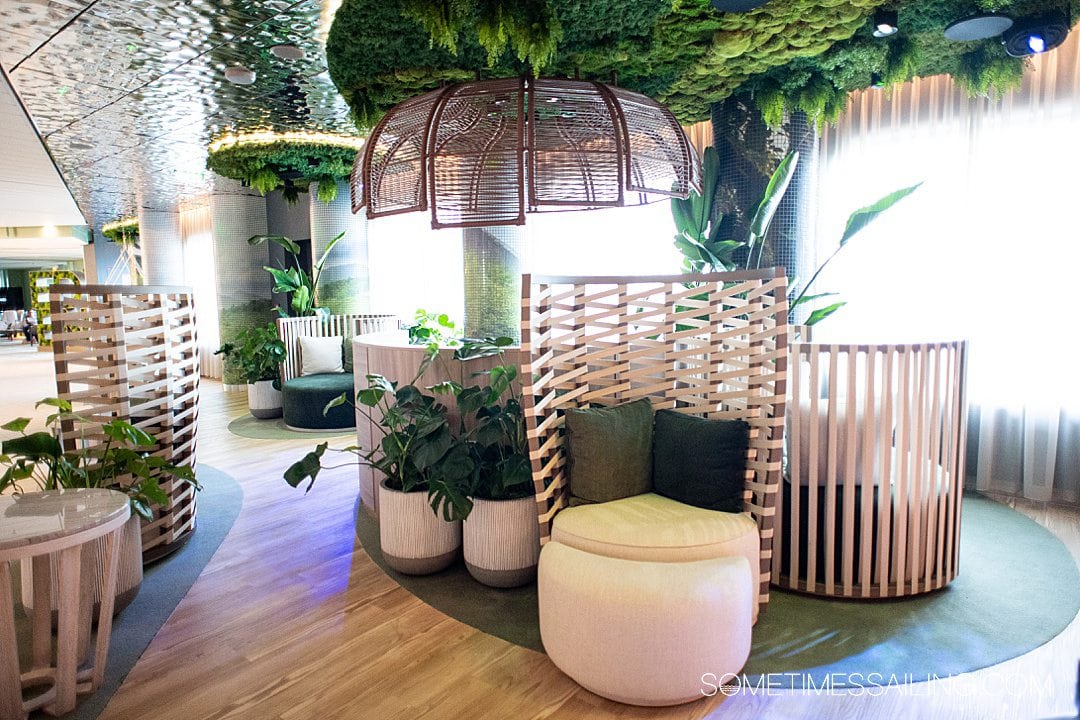 Rainforest type area on Celebrity Beyond cruise ship with white lounge chairs.