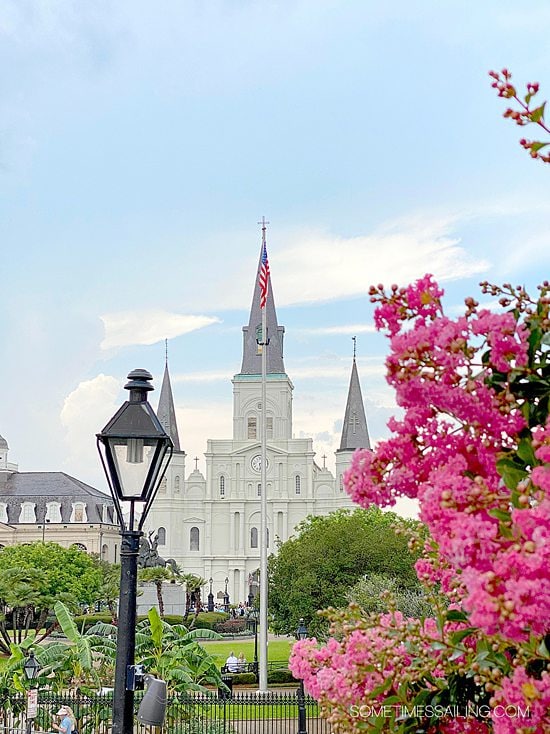 New Orleans square with pink bougainvillea, a stop on Mississippi River cruises.