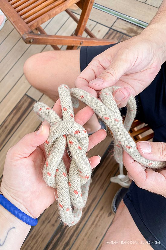 star clippers cruise