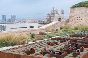 Aerial view of the city of Marseille as seen from the La Joliette Neighborhood, looking over a small garden, down at a large church, and to the cruise ships in the far distance.