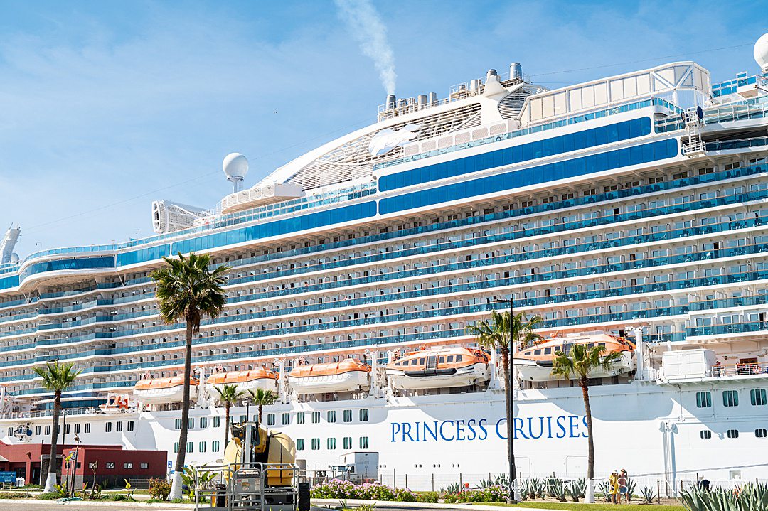 Side of a Princess Cruise ship in port with palm trees and a blue sky.