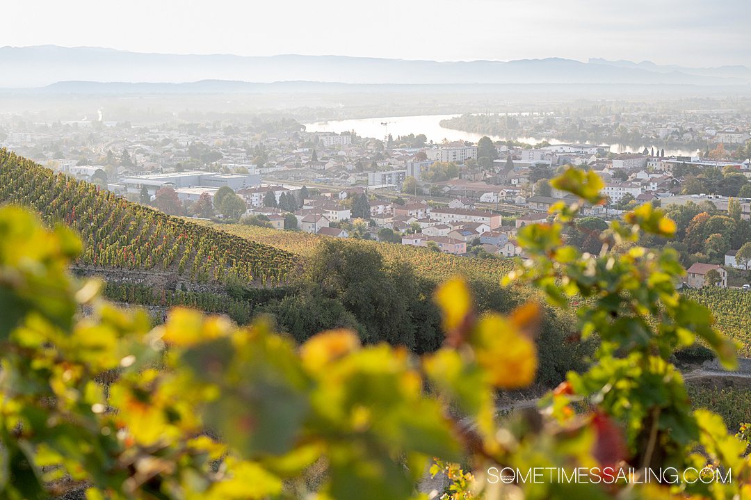 Looking down from L'Hermitage vineyards during an excursion on the Rhone River with AmaWaterways in France.