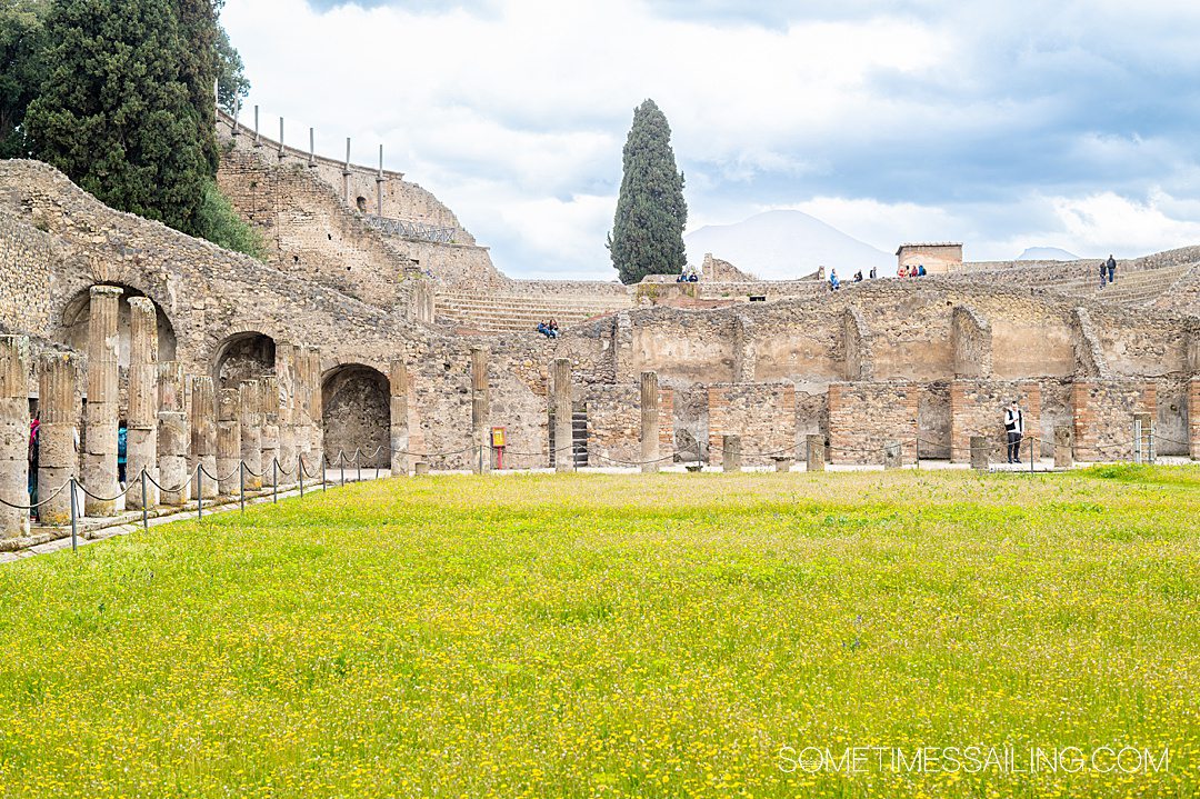 Grass field with yellow flowers and ancient brick ruins in the distance in Pomepii, Italy.