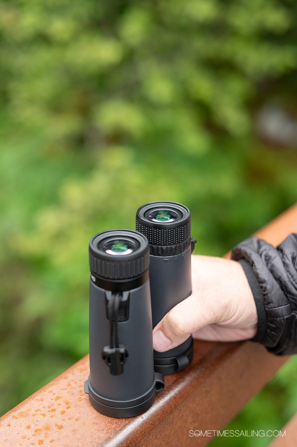 Top Binoculars for Alaska & Antarctica Cruise Leupold BX2 Alpine