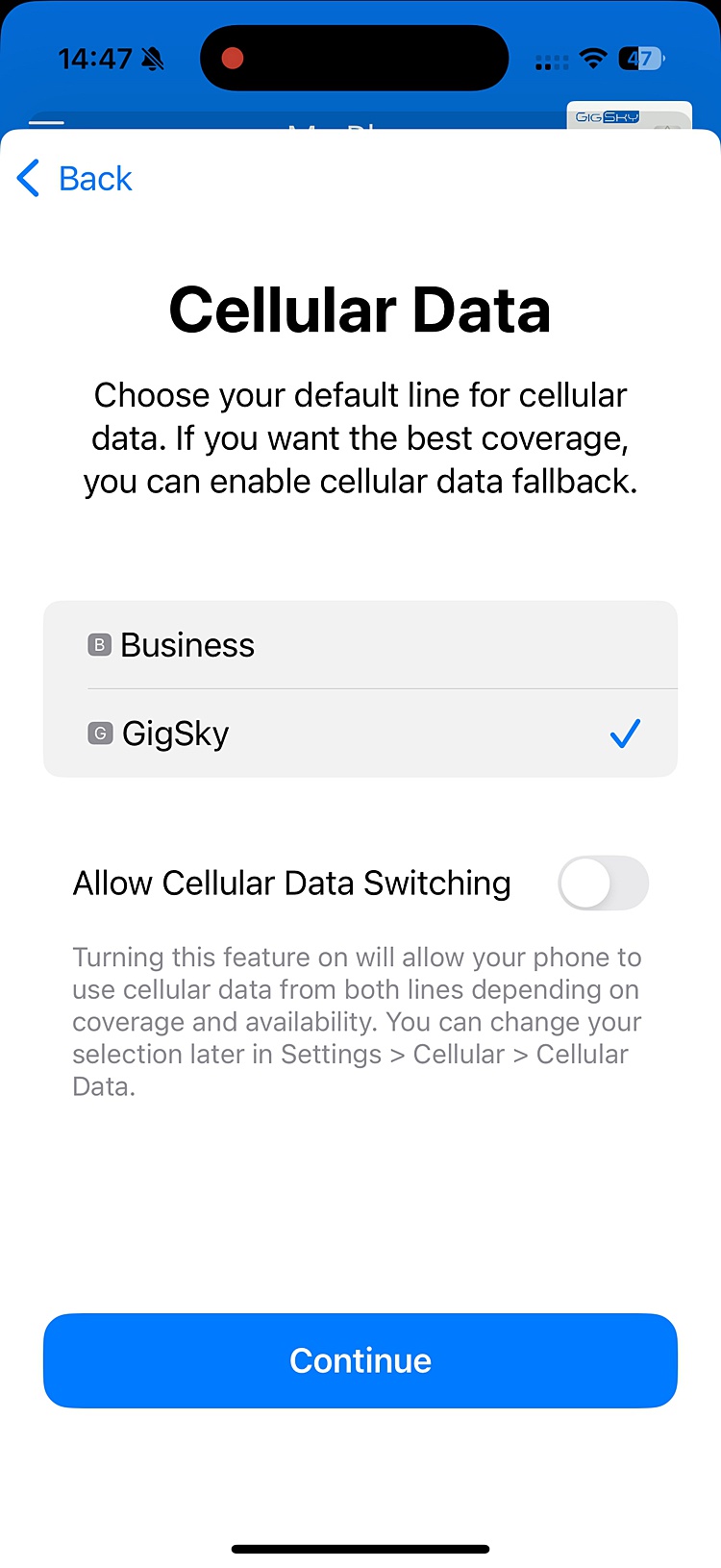 Screenshot of GigSky installation