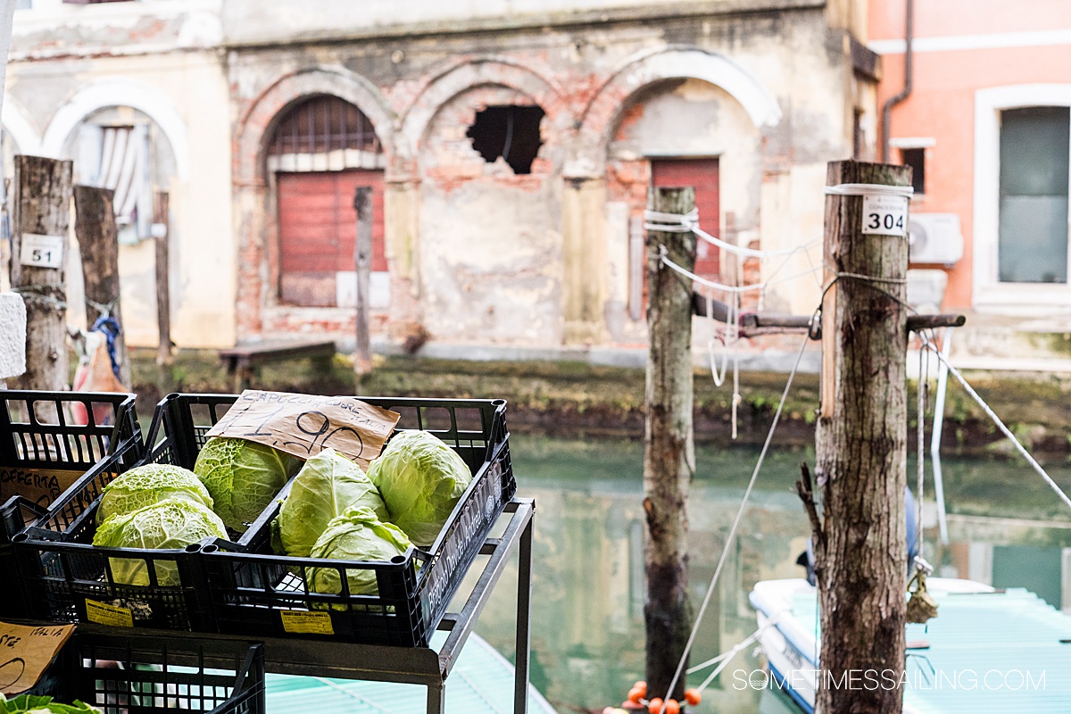 Crate with cabbage in focus in front of a blurry background with a canal and worn buildings in Chioggia.