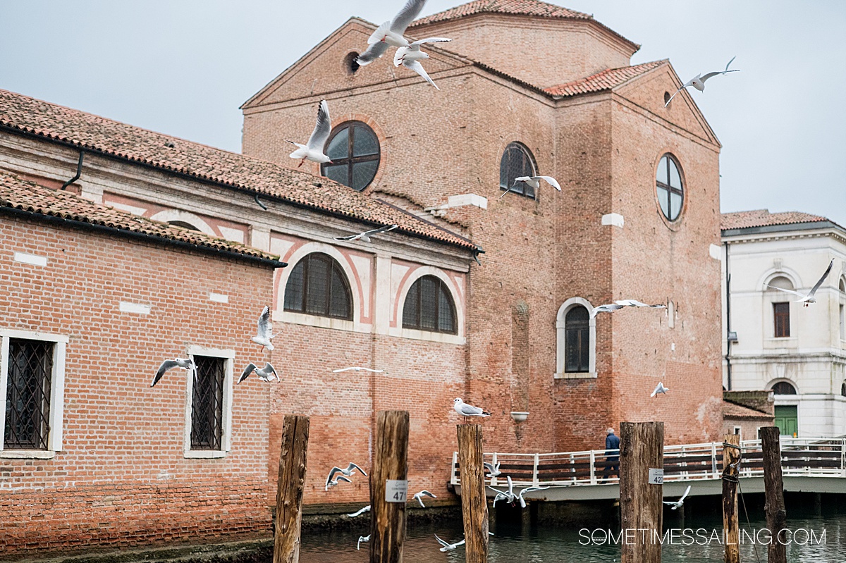 White birds fly in the air against a contrasting brick church behind it in Chioggia, Italy.