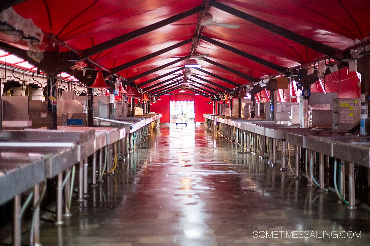 Fish market stalls under a red awning in Chioggia's historic center.