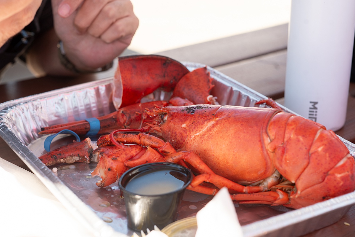 Aluminum tray with lobster piece and a small tin of butter.