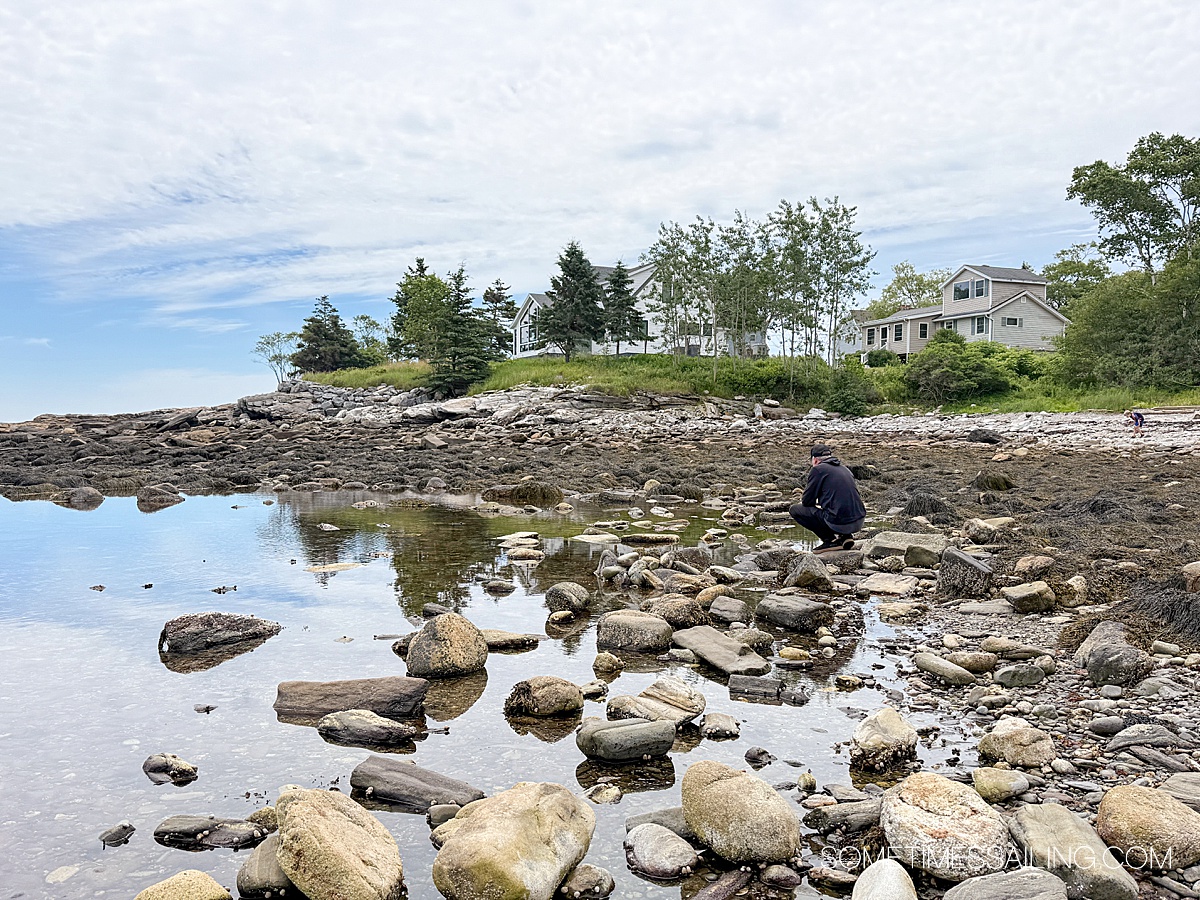 A shallow salt pond reflecting the blue sky above with a rocky shoreline and trees in the distance in Maine.
