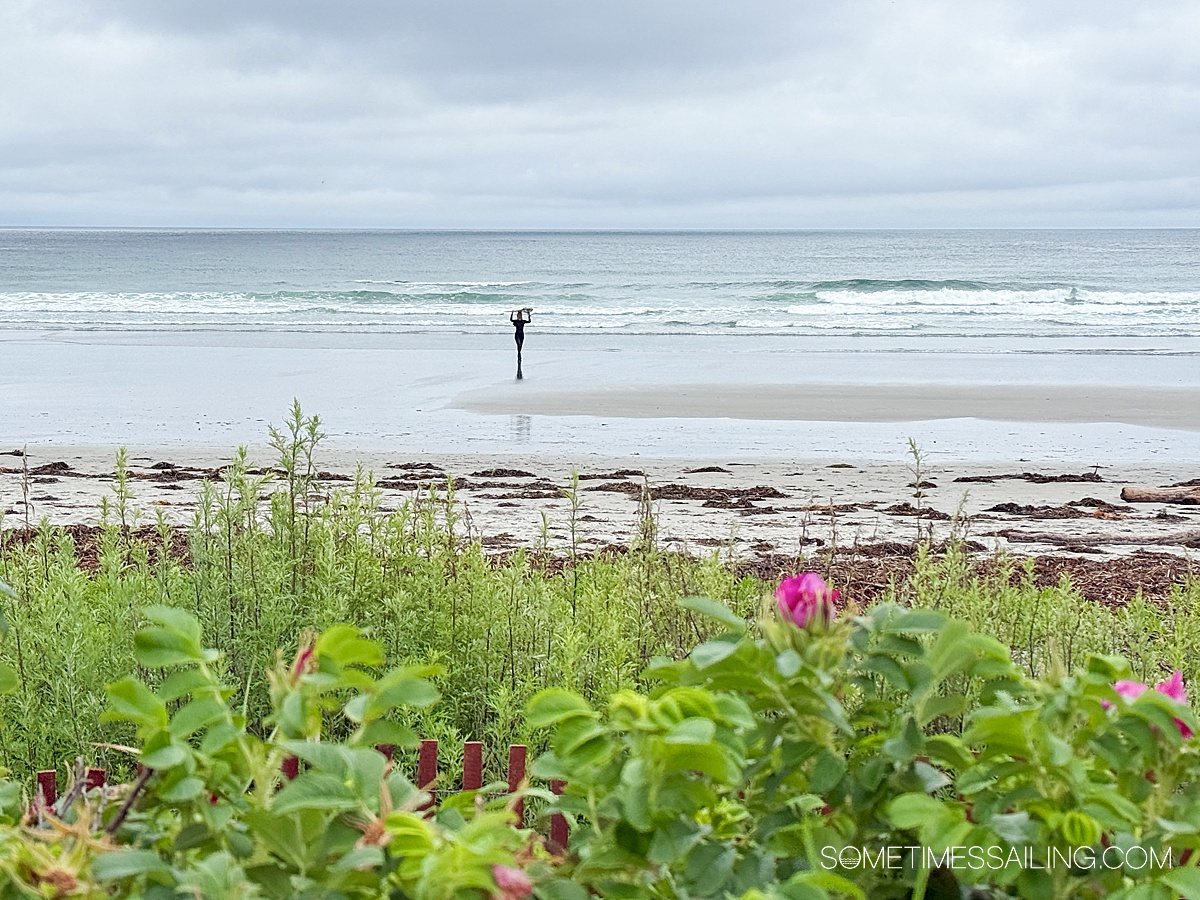 Flowers in the foreground and a surfer in the far distance, entering the ocean with an ominous blue sky above.