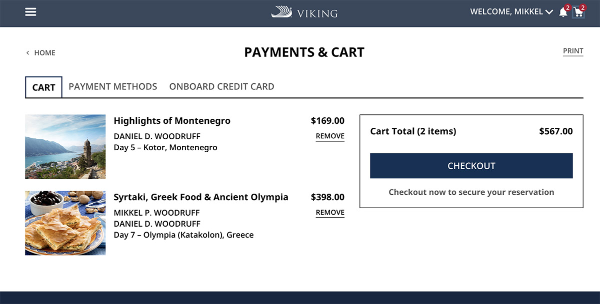 View of the payments portion of My Viking Journey to check out and secure the options.